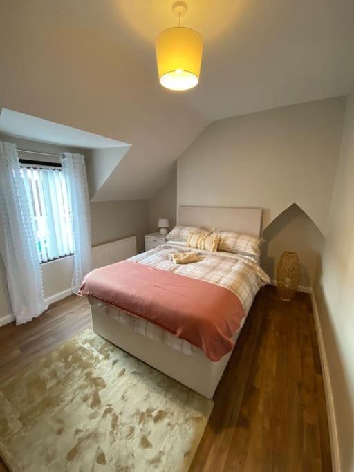 The Cozy Homestay Belfast Exteriör bild