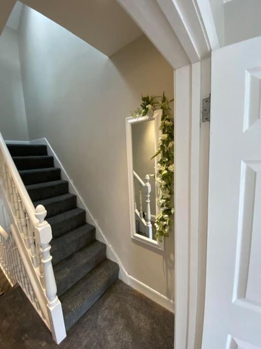 The Cozy Homestay Belfast Exteriör bild